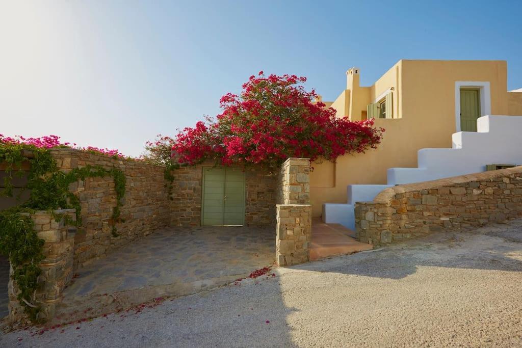Ochre Dream, Beach Front & Sunset Villa Naousa Εξωτερικό φωτογραφία